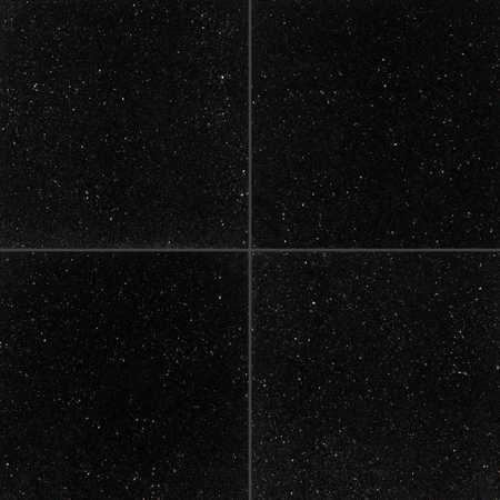 MSI Black Galaxy 18 In. X 18 In. Polished Granite Floor And Wall Tile, 4PK ZOR-NS-0044